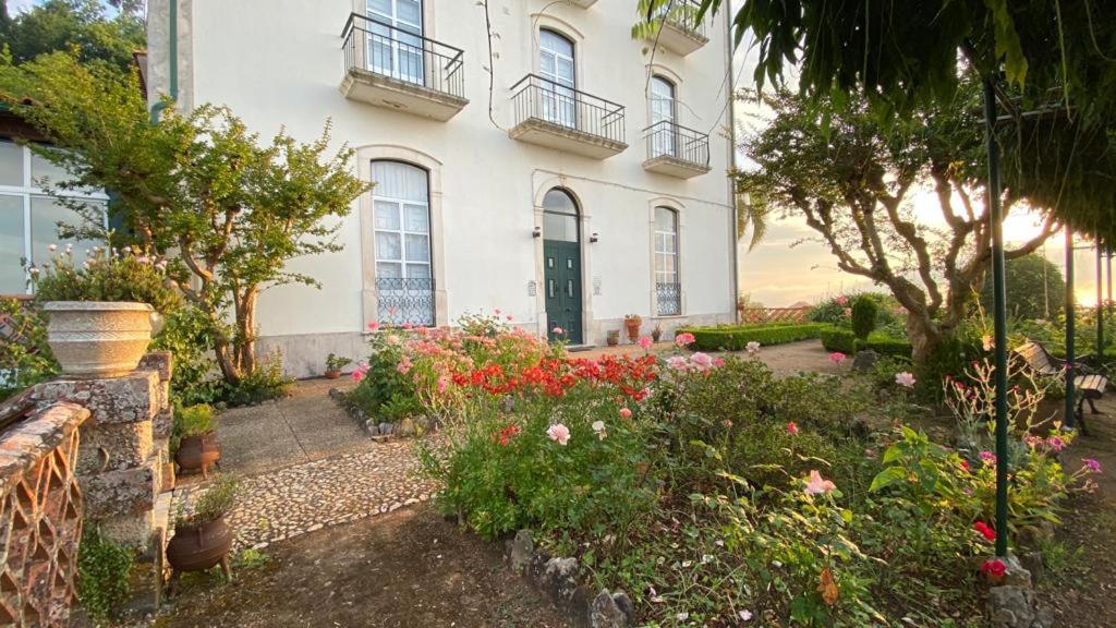 Altissima Guesthouse Penacova Eksteriør bilde